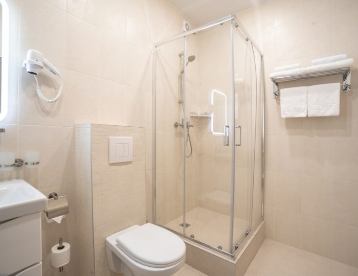 Стандарт Плюс 2-местный 1-ком 1К2м1к1п - Клинический санаторий «Металлург» Сочи